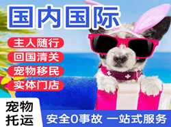 启阳空运地址国际宠物托运 【国